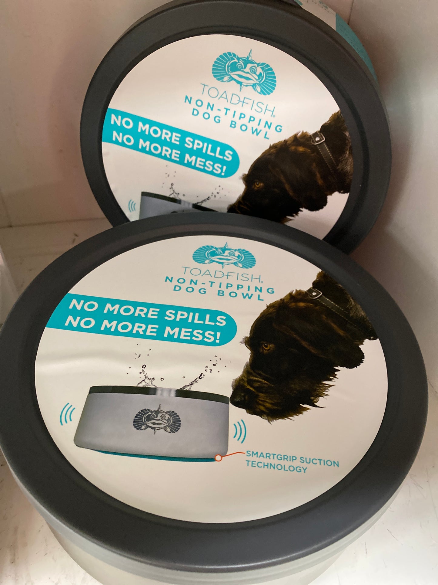 Toadfish Non Tip Dog Bowl