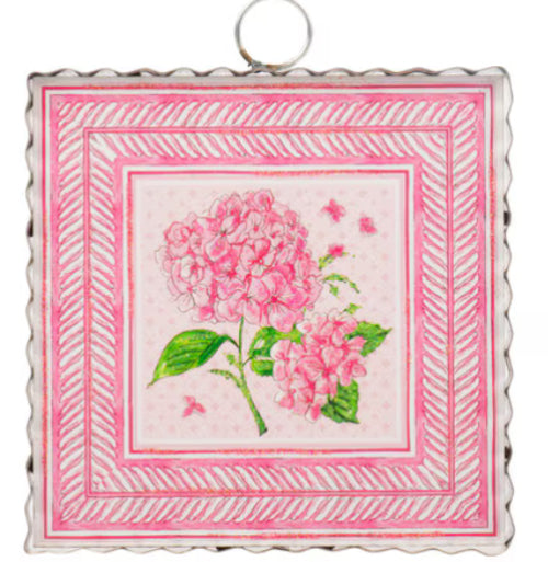 Mini Becks pink hydrangea