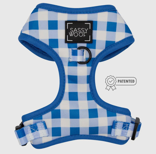 Wizard of paws adjustable harness