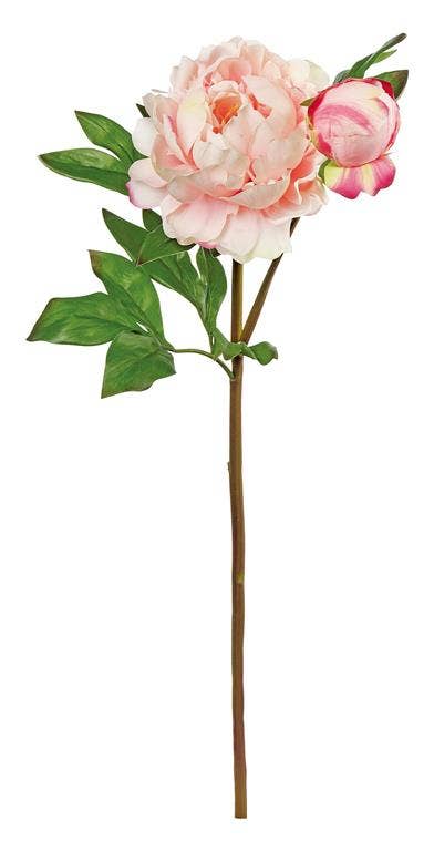 Soft-Touch Peony Spray X1/Bud, #6159-P