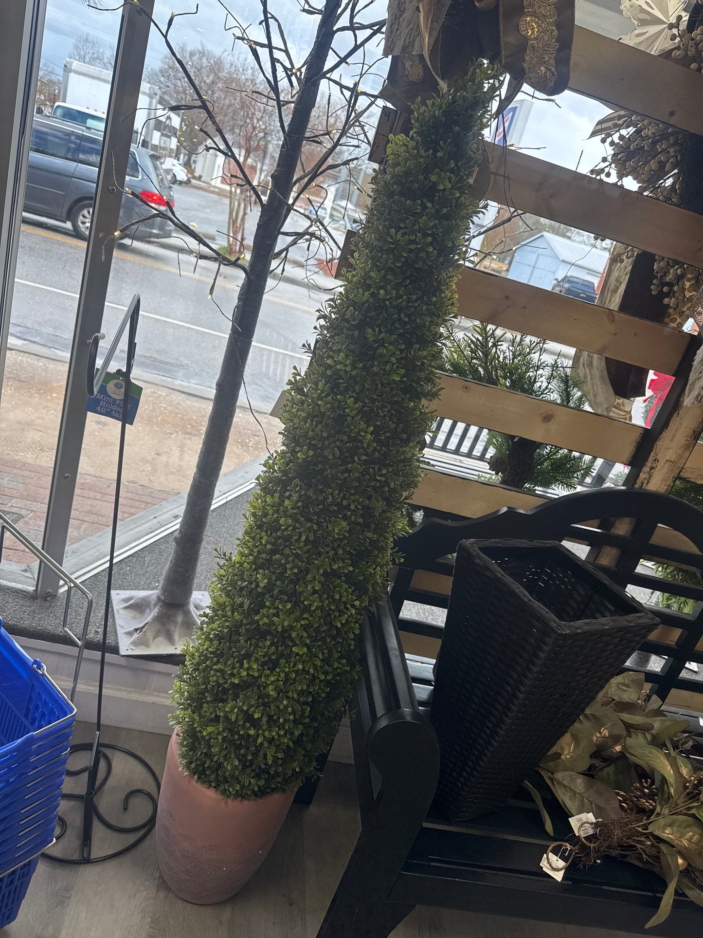 PL.SPRING BOXWOOD UV TREAT CONE in terrecotta pot