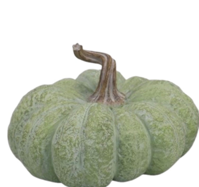 Green 5" Flat Pumpkin