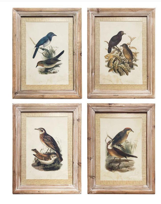 Bird prints with weathered frame