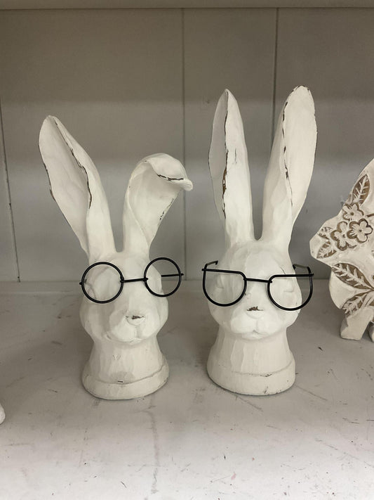 Rabbit with glasses