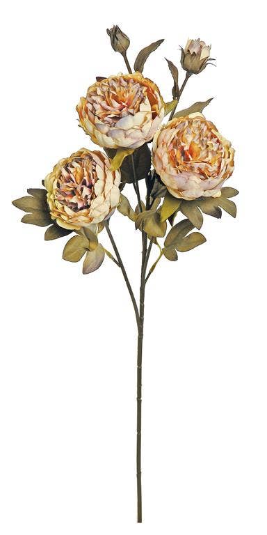 Harvest Peony X3 W/2 Buds, 26", Coffee