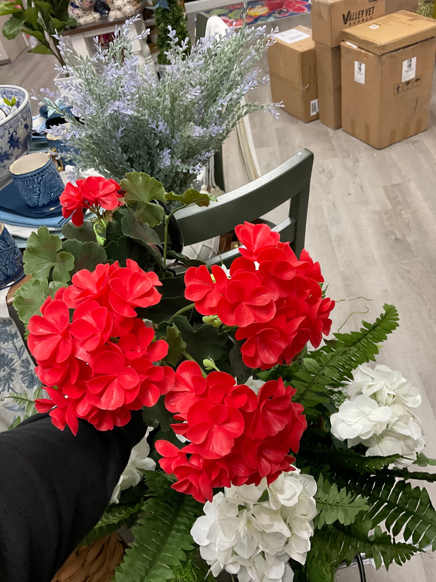 GERANIUM BUSH w 5 flowers Salmon