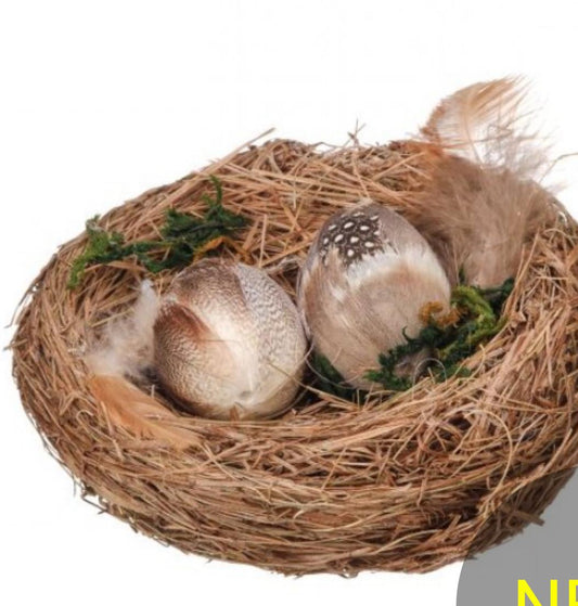 Feather eggs in nest