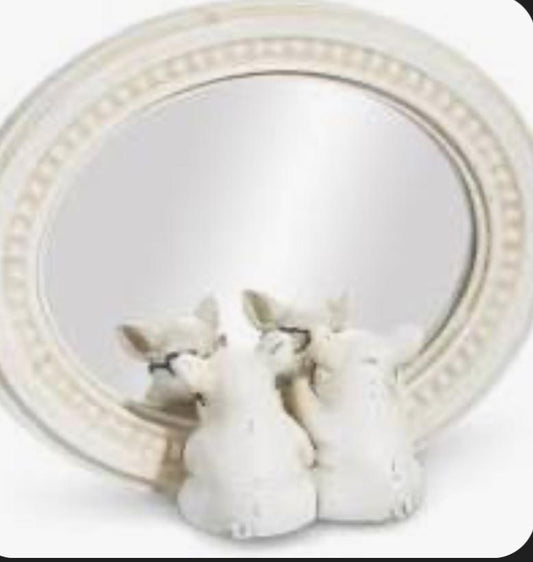 Pigs with glasses mirror