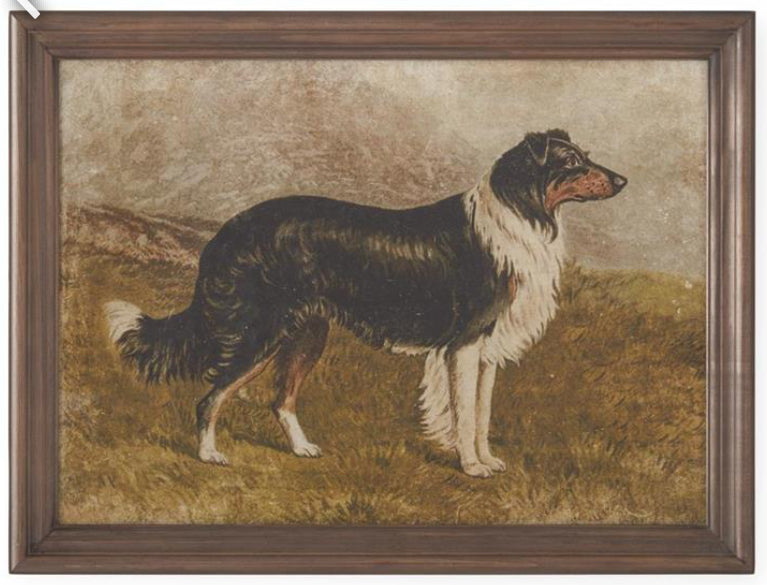 23.5 Inch Dog Prints