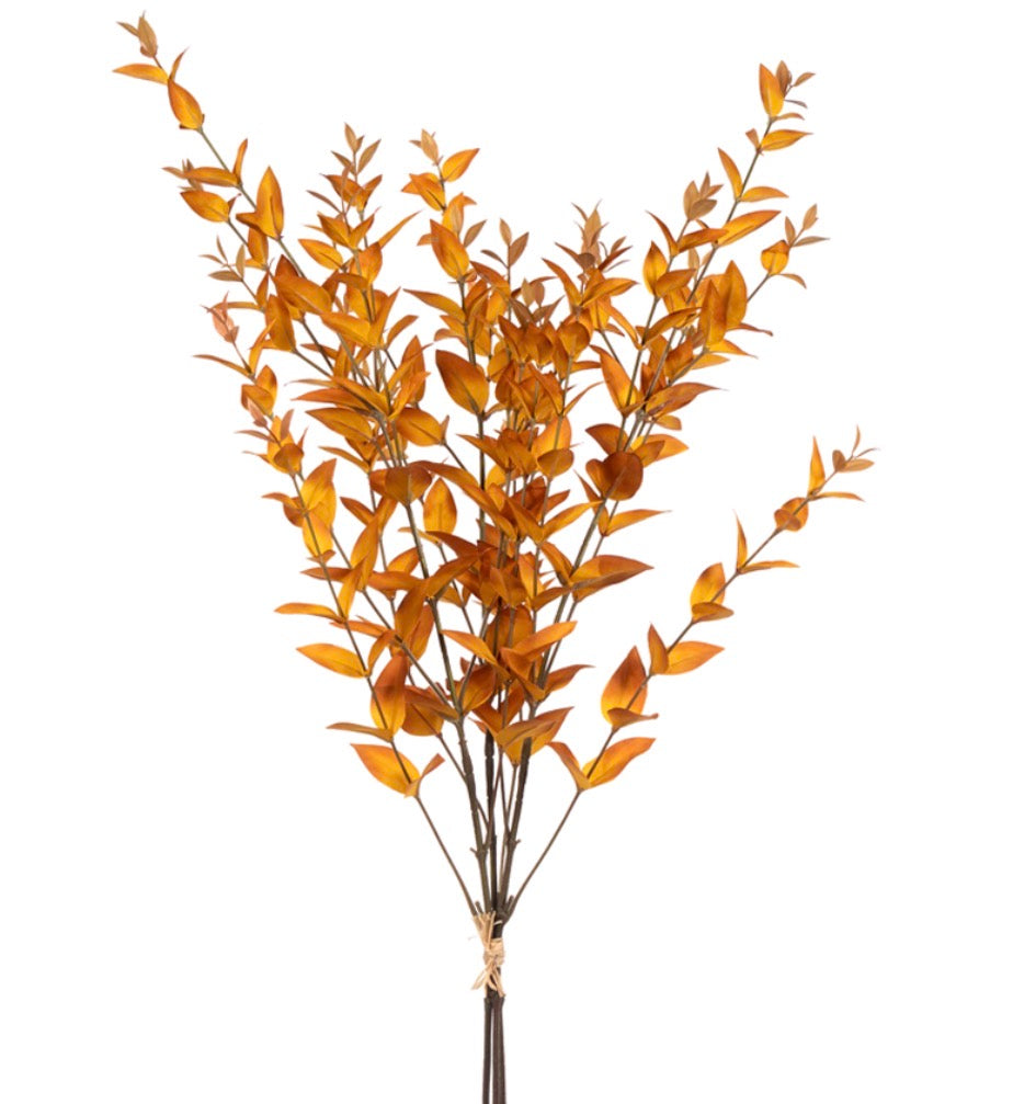 36" MYRTLE BUNDLE