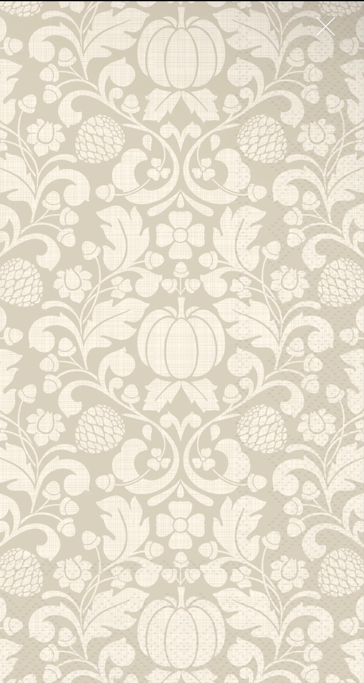Francis Cream Paper Guest Towels 16 Ct Fall Autumn