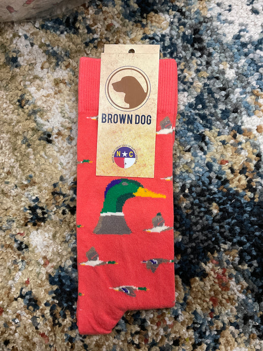 Brown Dog Socks