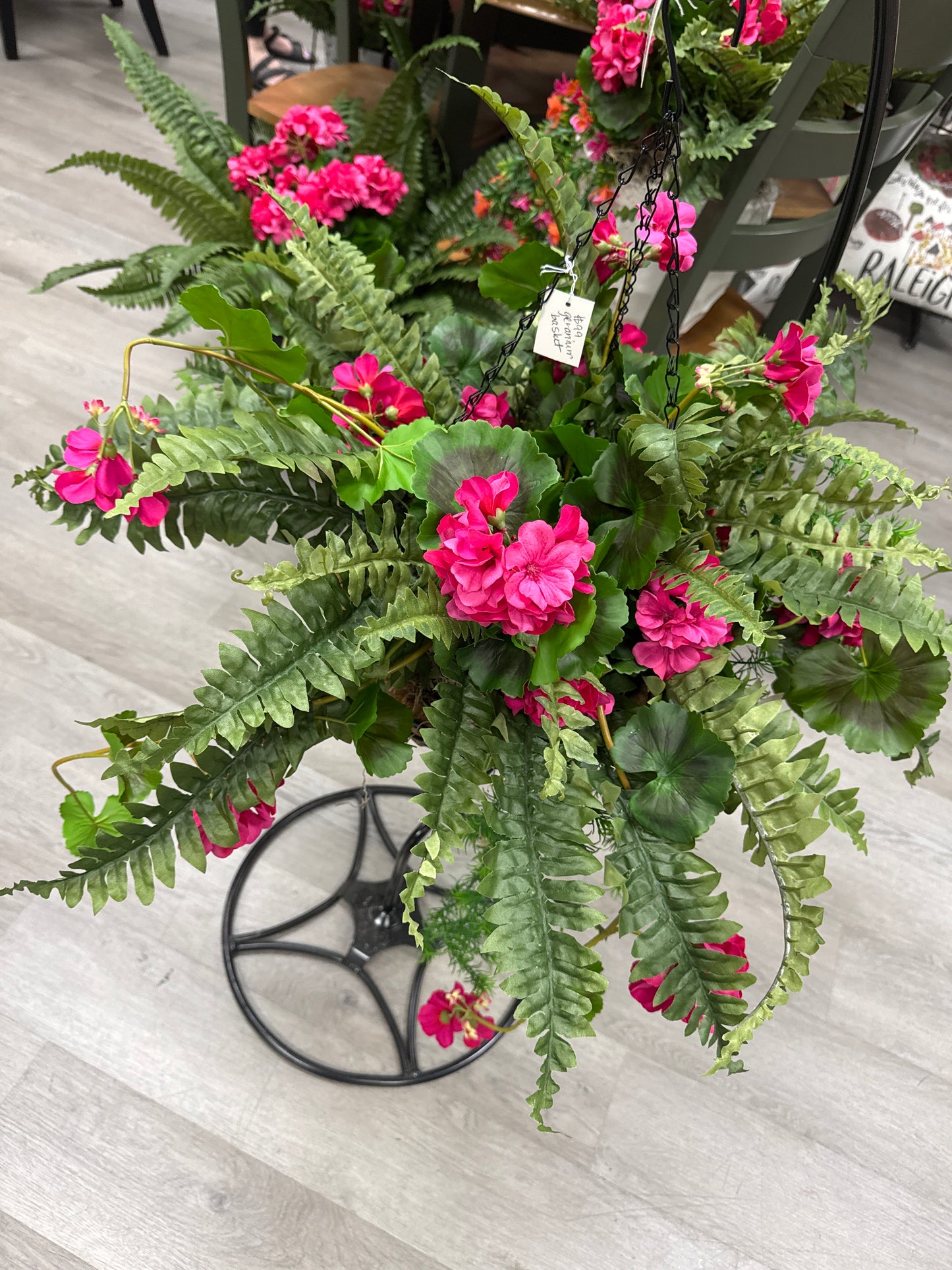 Red or pink geranium and fern hanging basket
