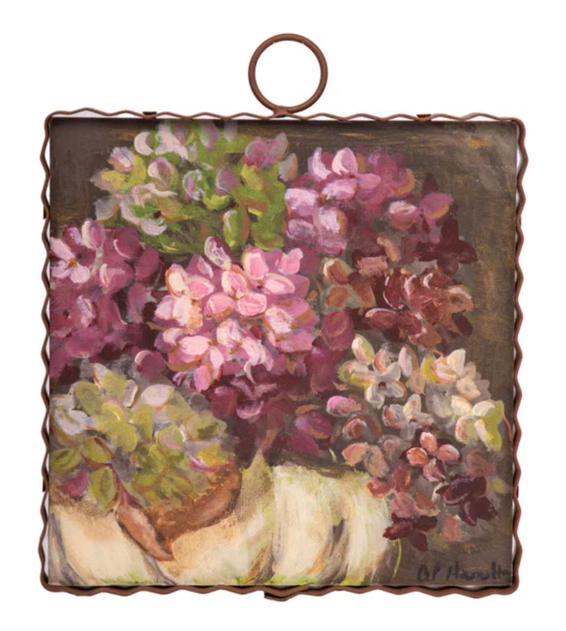 Mini Hamilton Hydrangeas
