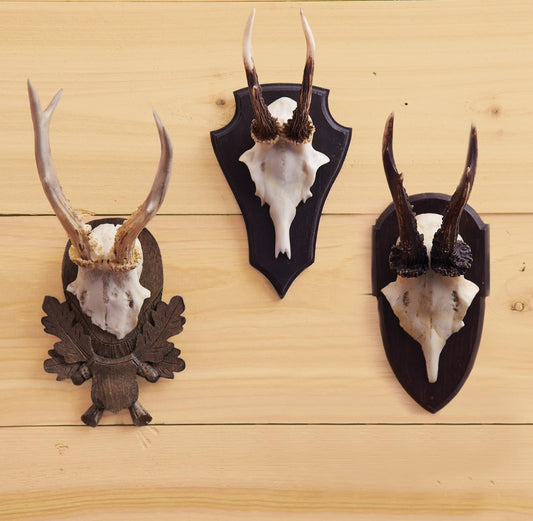 Hunt Club Trophy Wall Art