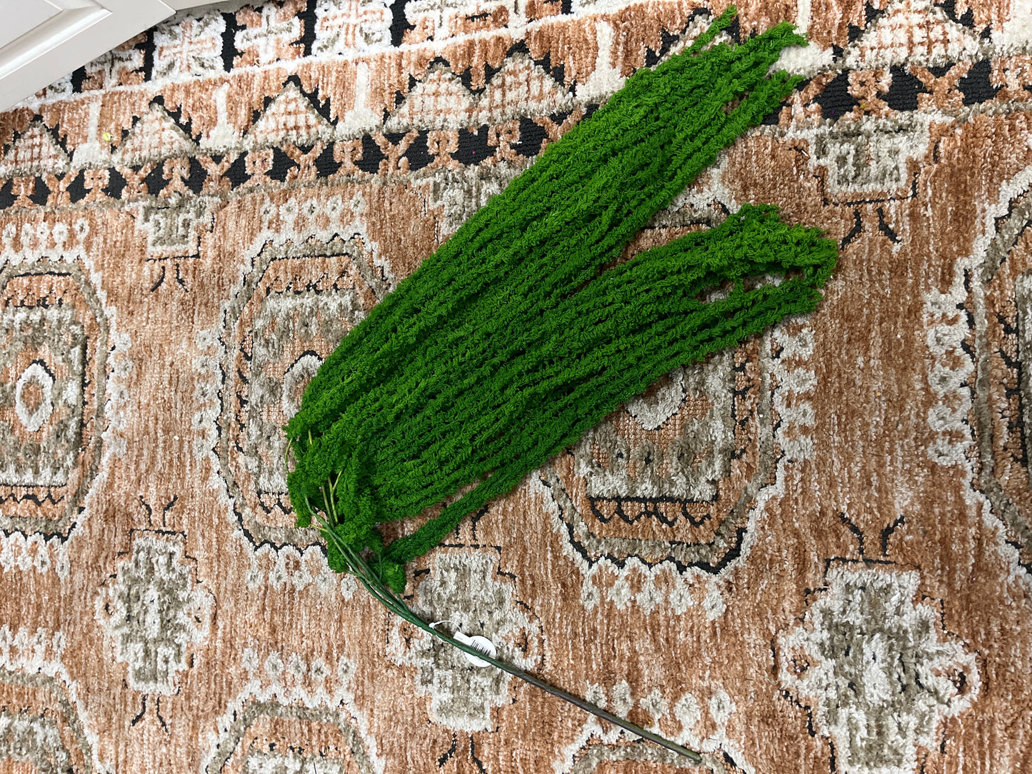 45” soft Amaranthus stem green