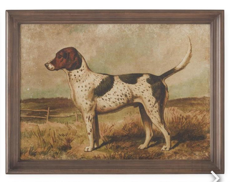 23.5 Inch Dog Prints