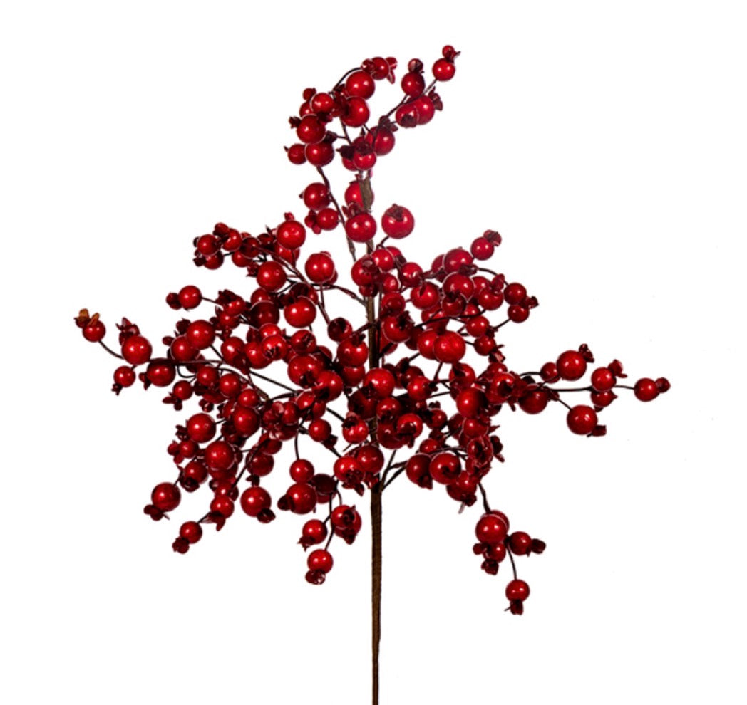 22.5" MINI POMEGRANATE For Outdoor Use