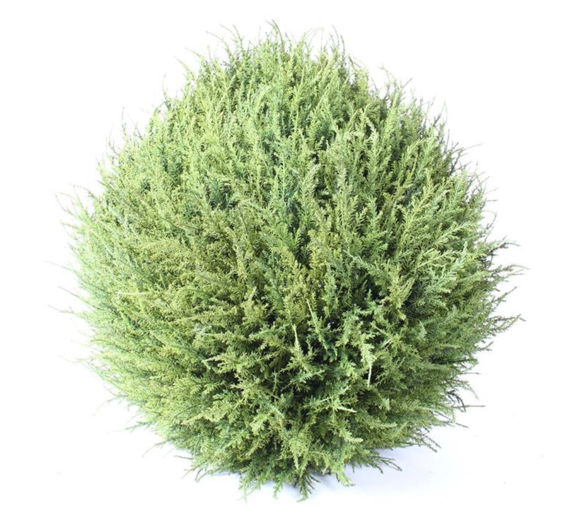 19" CEDAR BALL NATURAL GREEN