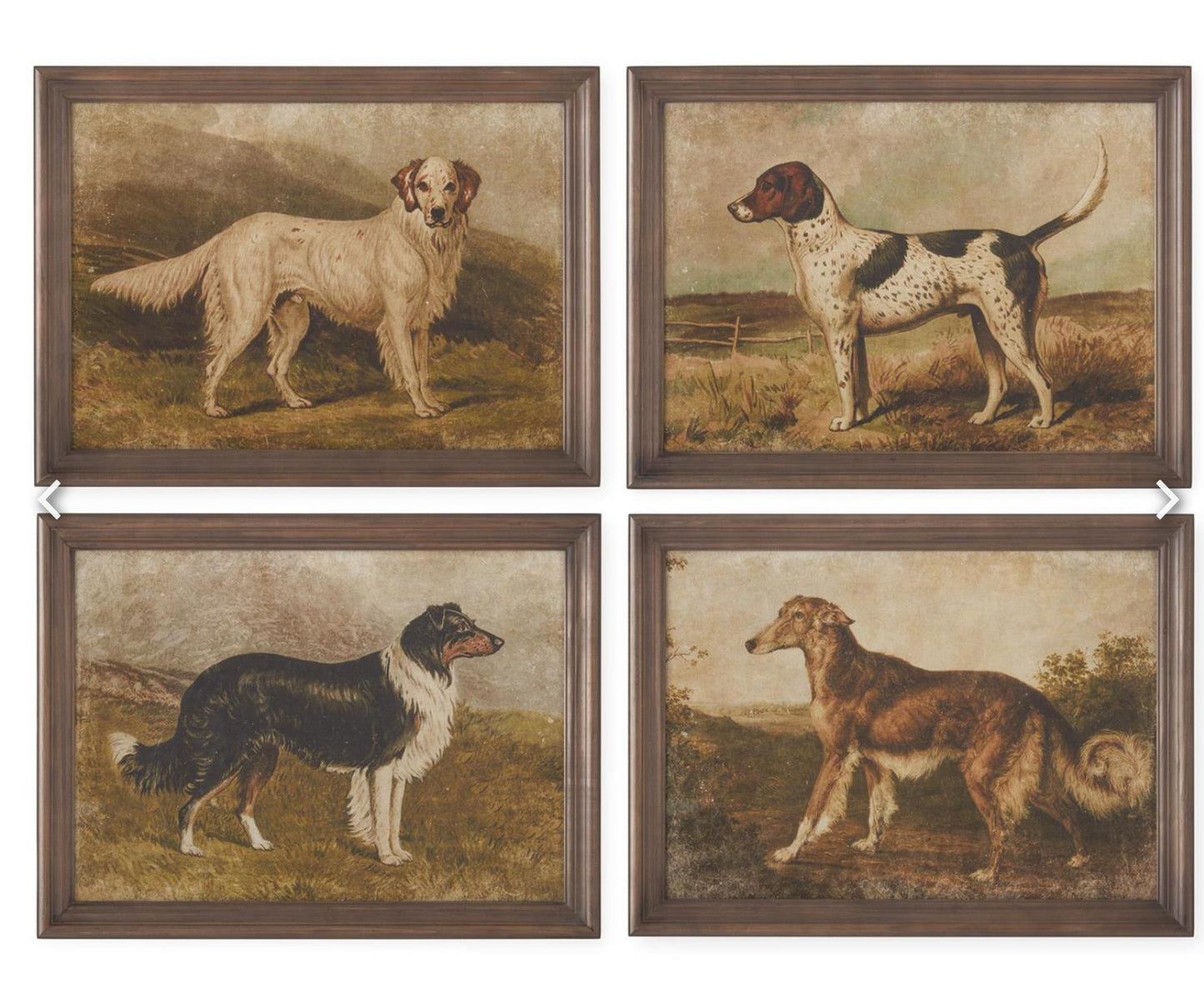 23.5 Inch Dog Prints