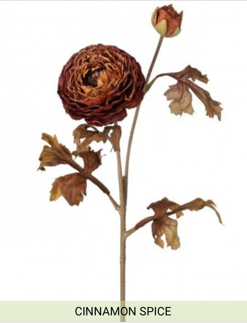 24” autumn ranunculus stem