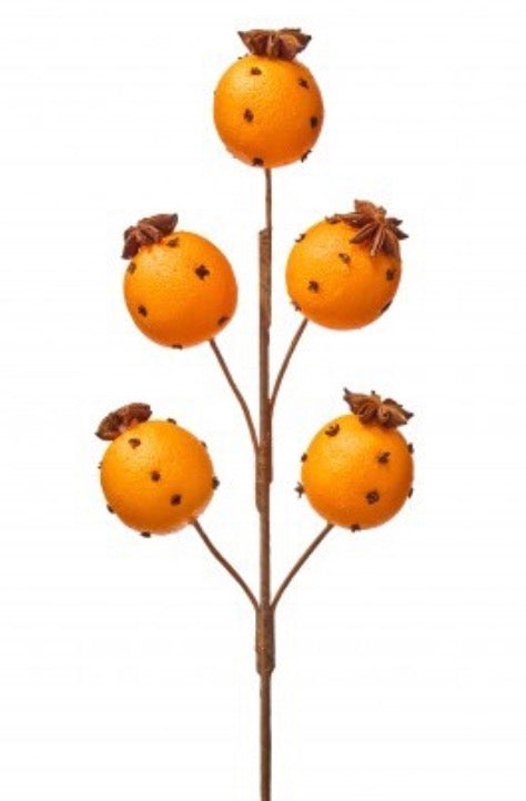 19.5" ORANGE W/CLOVE SPRAY X5