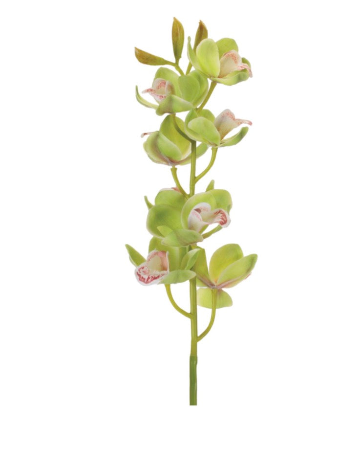 CYMBIDIUM ORCHID STEM 27”H POLYESTER