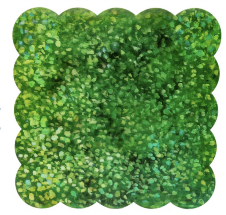 Boxwood Scallop Display Board