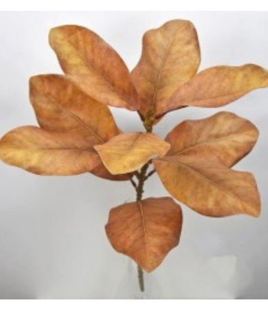 22.5” Magnolia Spray