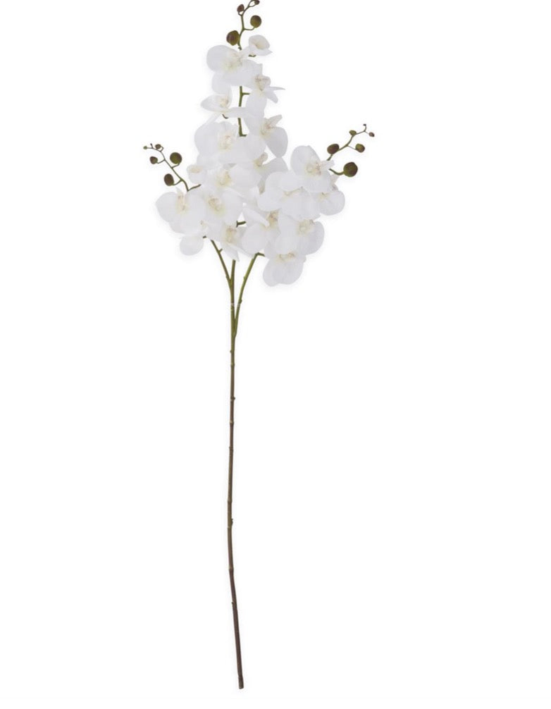47 Inch White Orchid Spray