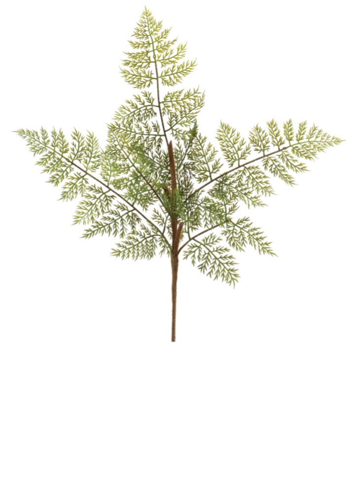 FERN SPRAY 20”H