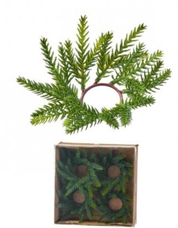 4" MINI FRASIER FIR CANDLE RING