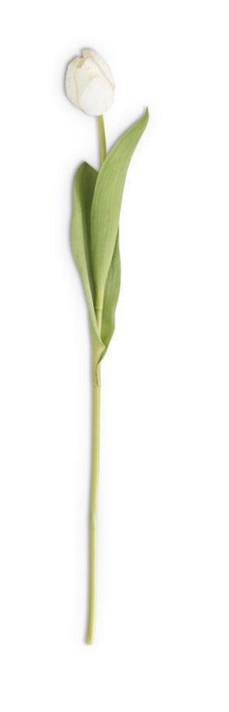 26.75 Inch White Silk w/Real Touch Single Tulip Stem