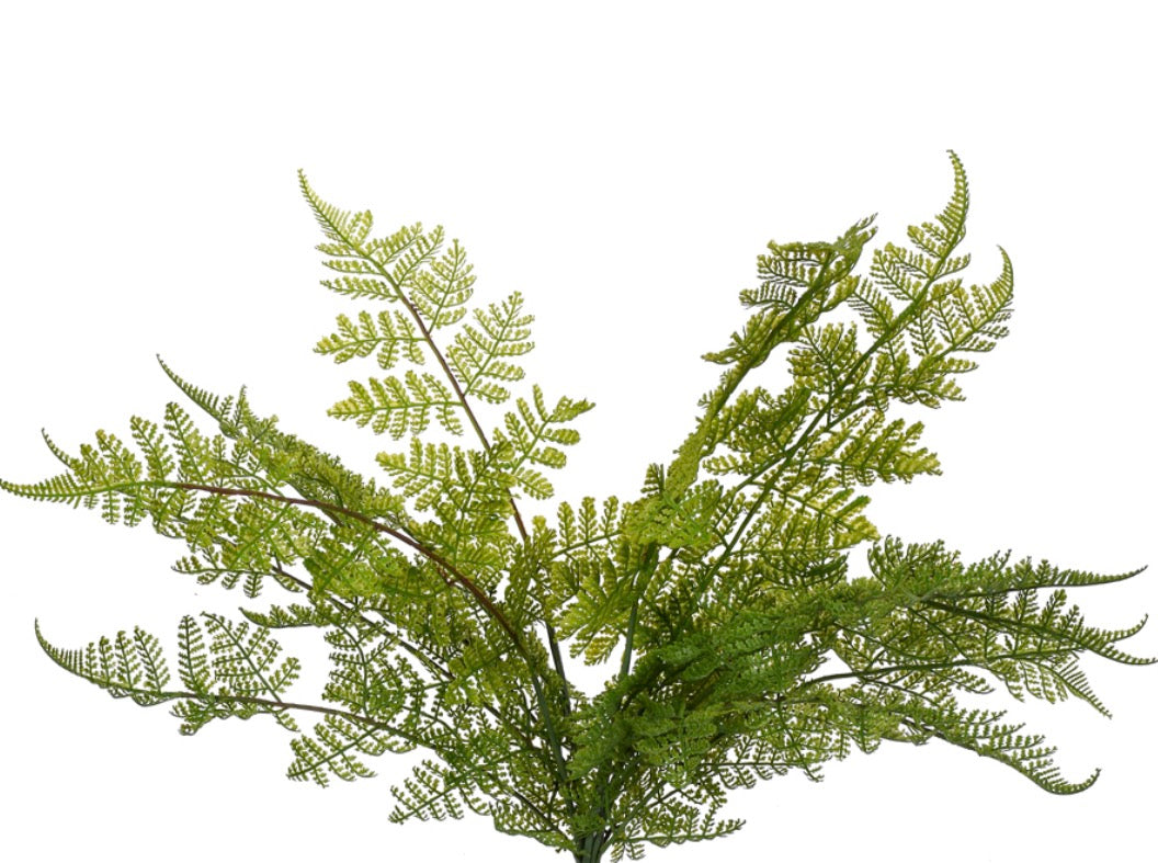23" LACE FERN BUSH (SOFT TCH)