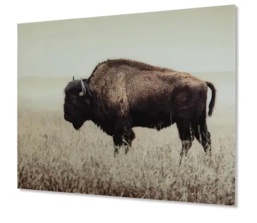Brutus Wall Art