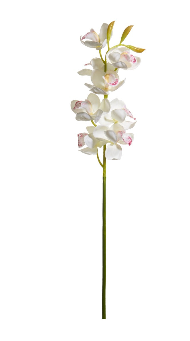 27.5" White Cymbidium Orchid Stem