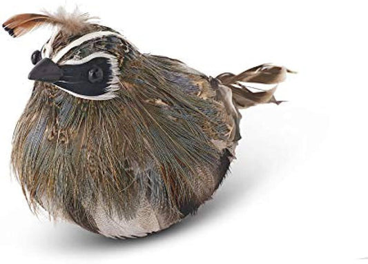 feathered quail