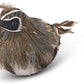 feathered quail