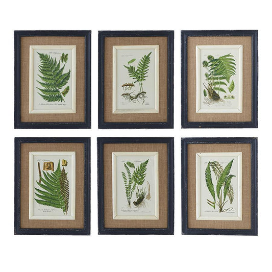 Black framed fern prints