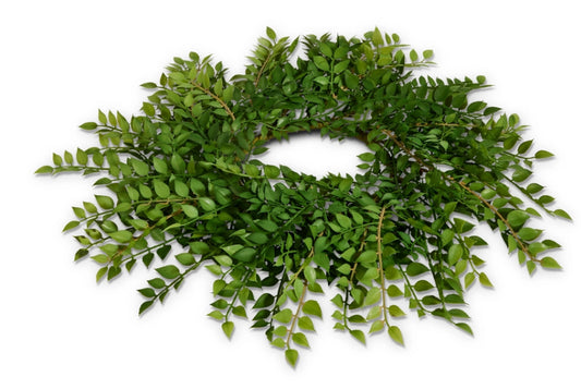 18" Green Ruscus Mini Wreath-Candle Ring