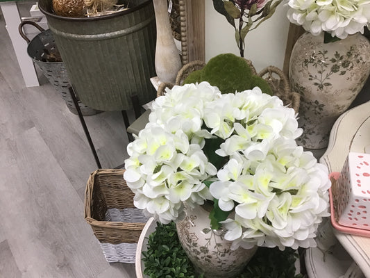 White hydrangeas