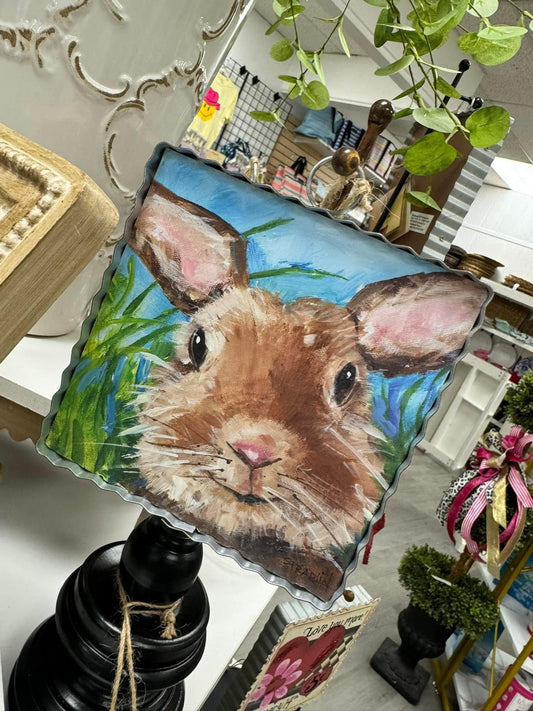 mini gallery bunny close up