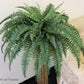 48" Boston Fern Plant - Indoor/Outdoor Faux Fern