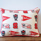 Special order NC State Collegiate Pillows
