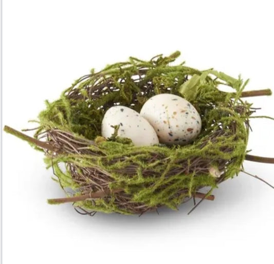 5.5” bird nest w eggs