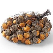 Bag of 75 yellow wood acorns