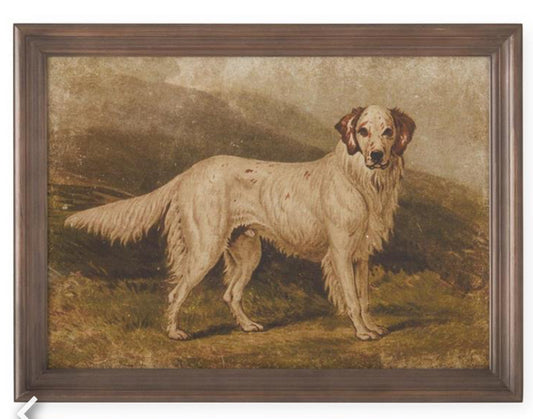 23.5 Inch Dog Prints