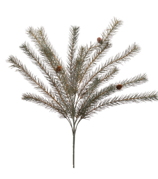 25” pine bush