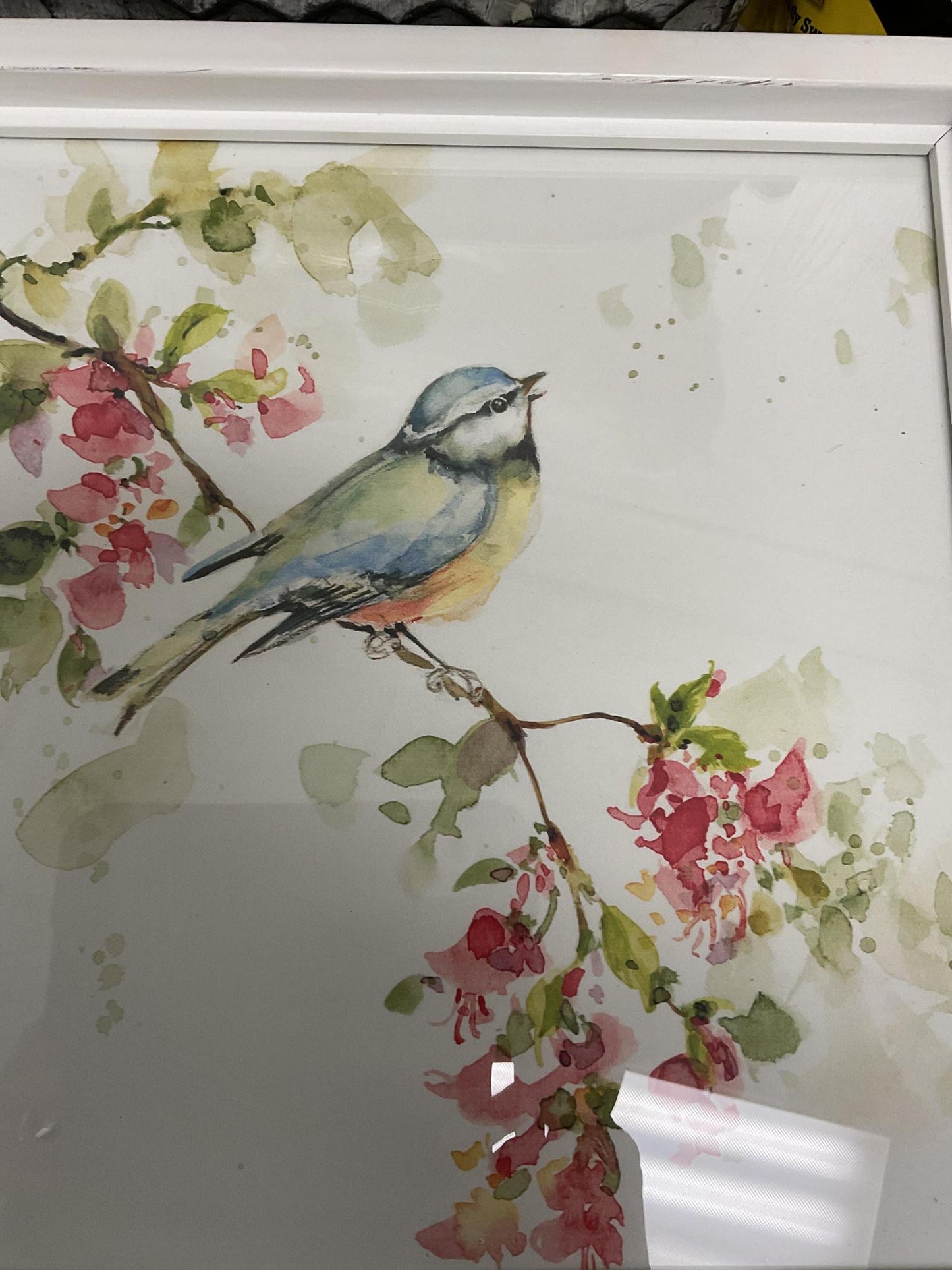 Watercolor bird framed print