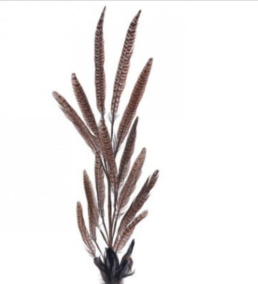 30" PHEASANT FEATHER SPRAY